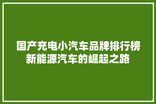 国产充电小汽车品牌排行榜新能源汽车的崛起之路  第1张
