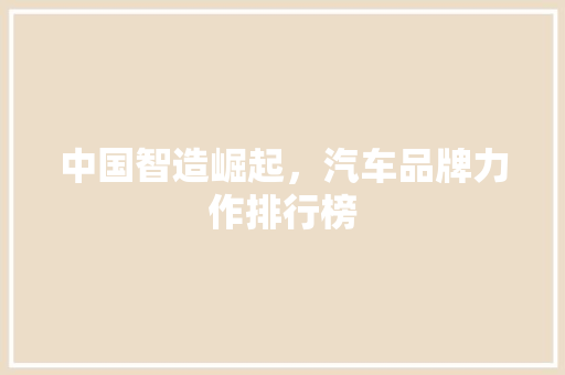 中国智造崛起，汽车品牌力作排行榜  第1张