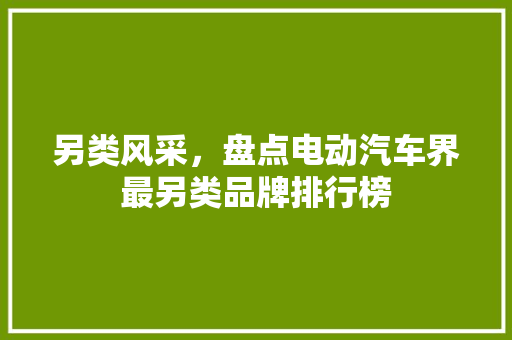 另类风采，盘点电动汽车界最另类品牌排行榜