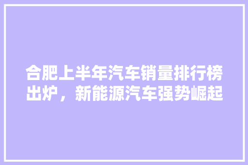 合肥上半年汽车销量排行榜出炉，新能源汽车强势崛起