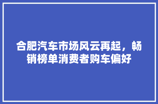 合肥汽车市场风云再起，畅销榜单消费者购车偏好