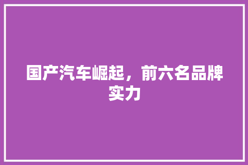 国产汽车崛起，前六名品牌实力