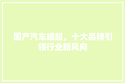 国产汽车崛起，十大品牌引领行业新风向