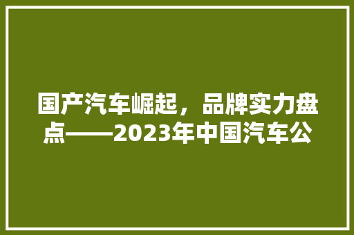 国产汽车崛起，品牌实力盘点——2023年中国汽车公司及品牌排行榜