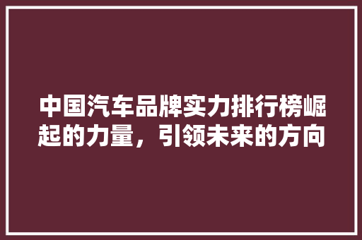 中国汽车品牌实力排行榜崛起的力量，引领未来的方向