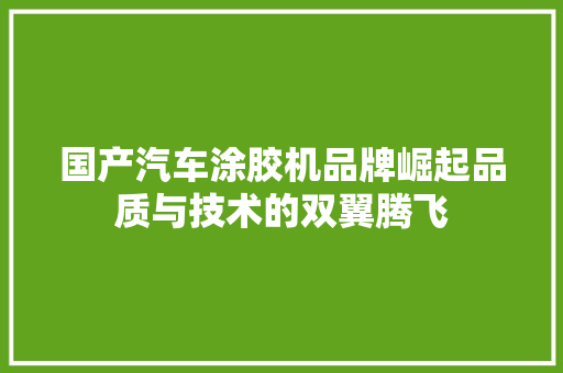国产汽车涂胶机品牌崛起品质与技术的双翼腾飞