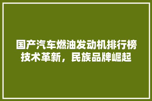 国产汽车燃油发动机排行榜技术革新，民族品牌崛起