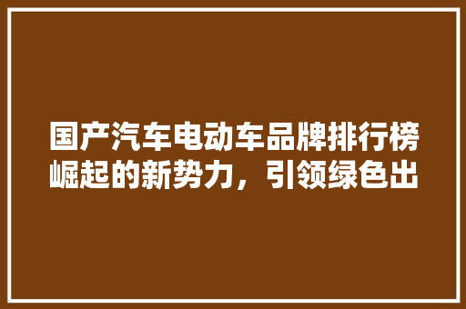 国产汽车电动车品牌排行榜崛起的新势力，引领绿色出行潮流