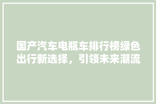 国产汽车电瓶车排行榜绿色出行新选择，引领未来潮流