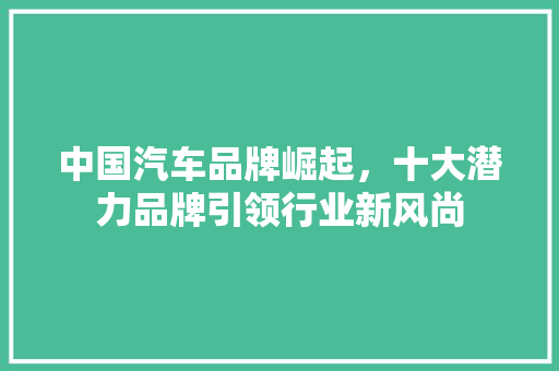 中国汽车品牌崛起，十大潜力品牌引领行业新风尚