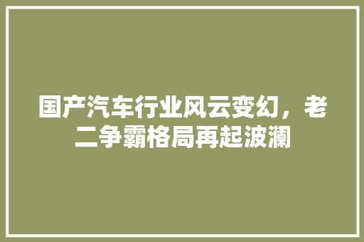 国产汽车行业风云变幻，老二争霸格局再起波澜