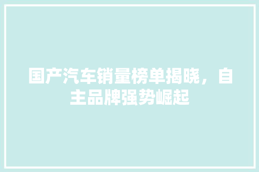 国产汽车销量榜单揭晓，自主品牌强势崛起