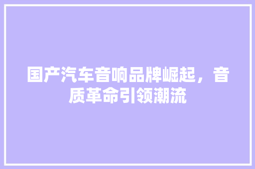 国产汽车音响品牌崛起，音质革命引领潮流