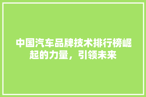 中国汽车品牌技术排行榜崛起的力量，引领未来