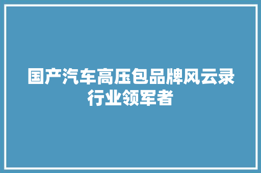 国产汽车高压包品牌风云录行业领军者