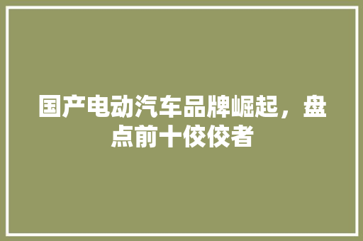 国产电动汽车品牌崛起，盘点前十佼佼者
