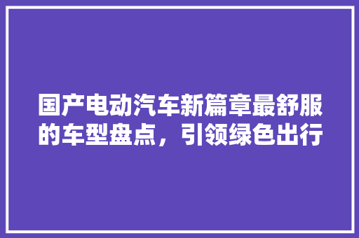 国产电动汽车新篇章最舒服的车型盘点，引领绿色出行潮流