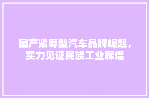 国产紧筹型汽车品牌崛起，实力见证民族工业辉煌