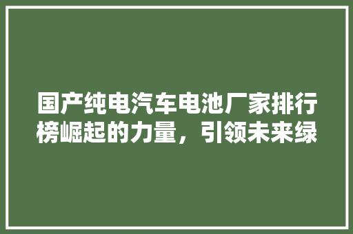 国产纯电汽车电池厂家排行榜崛起的力量，引领未来绿色出行