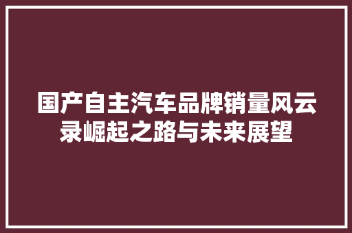 国产自主汽车品牌销量风云录崛起之路与未来展望  第1张