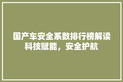 国产车安全系数排行榜解读科技赋能，安全护航