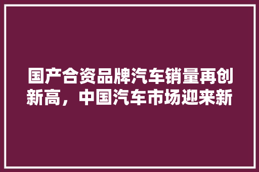 国产合资品牌汽车销量再创新高，中国汽车市场迎来新篇章