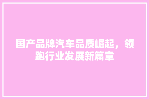 国产品牌汽车品质崛起，领跑行业发展新篇章