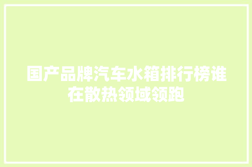 国产品牌汽车水箱排行榜谁在散热领域领跑  第1张