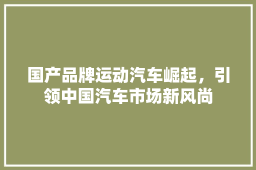 国产品牌运动汽车崛起，引领中国汽车市场新风尚  第1张