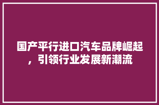 国产平行进口汽车品牌崛起，引领行业发展新潮流