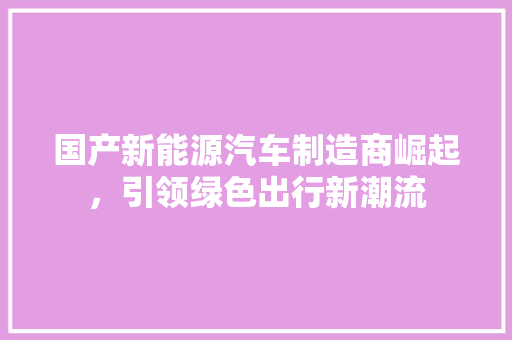 国产新能源汽车制造商崛起，引领绿色出行新潮流  第1张