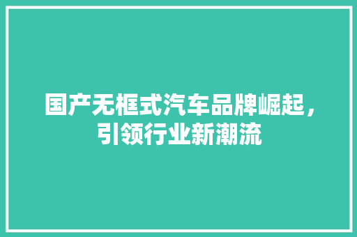 国产无框式汽车品牌崛起，引领行业新潮流  第1张