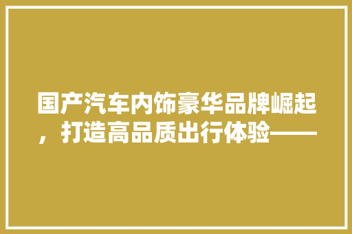 国产汽车内饰豪华品牌崛起，打造高品质出行体验——2023年度排行榜
