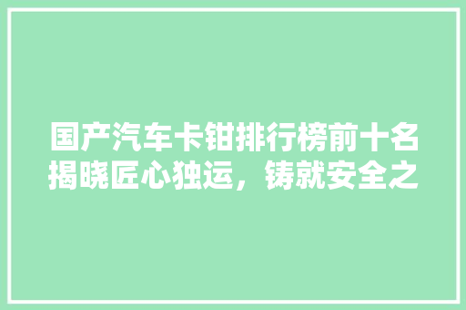 国产汽车卡钳排行榜前十名揭晓匠心独运，铸就安全之盾  第1张