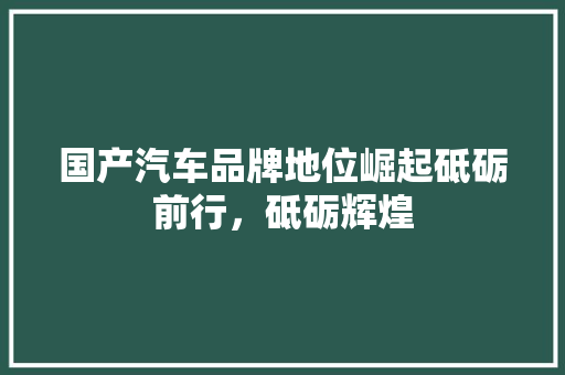 国产汽车品牌地位崛起砥砺前行，砥砺辉煌