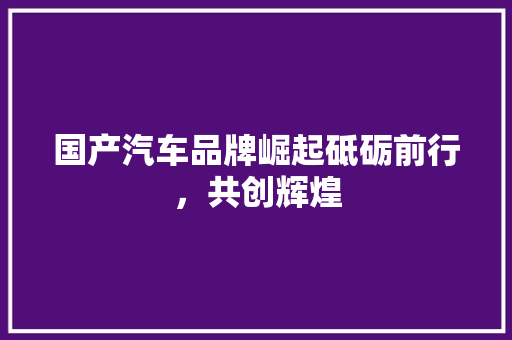 国产汽车品牌崛起砥砺前行，共创辉煌  第1张