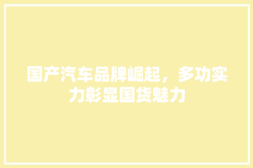 国产汽车品牌崛起，多功实力彰显国货魅力