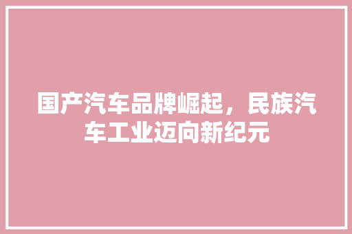 国产汽车品牌崛起，民族汽车工业迈向新纪元