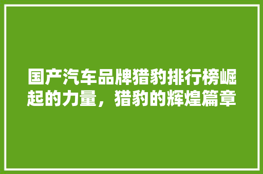 国产汽车品牌猎豹排行榜崛起的力量，猎豹的辉煌篇章