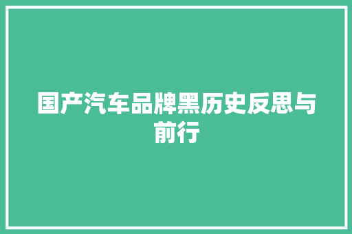 国产汽车品牌黑历史反思与前行