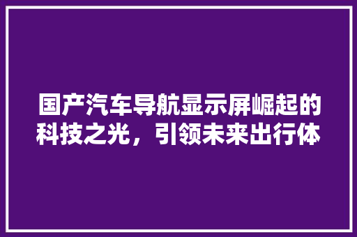 国产汽车导航显示屏崛起的科技之光，引领未来出行体验