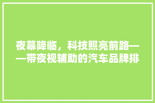 夜幕降临，科技照亮前路——带夜视辅助的汽车品牌排行榜  第1张