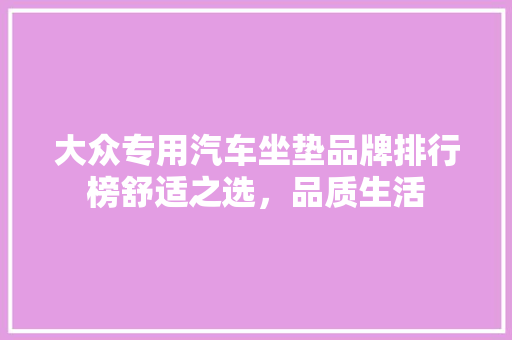 大众专用汽车坐垫品牌排行榜舒适之选，品质生活