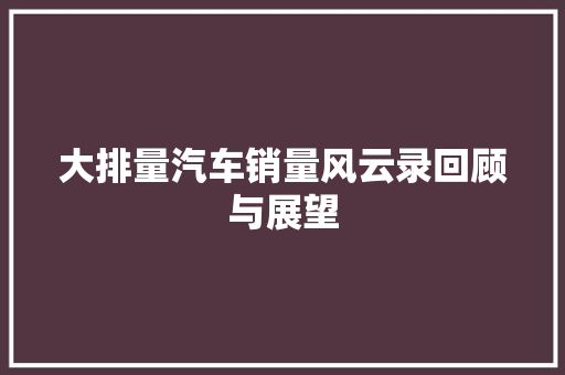 大排量汽车销量风云录回顾与展望
