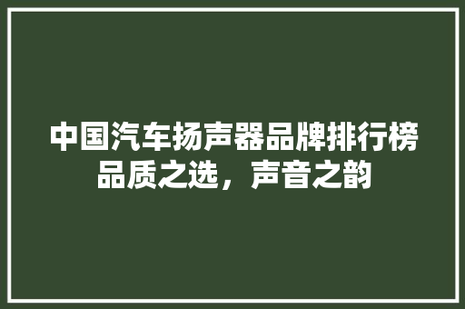 中国汽车扬声器品牌排行榜品质之选，声音之韵