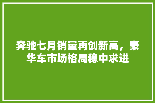 奔驰七月销量再创新高，豪华车市场格局稳中求进  第1张