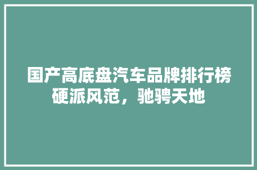 国产高底盘汽车品牌排行榜硬派风范，驰骋天地