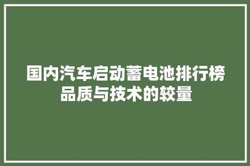 国内汽车启动蓄电池排行榜品质与技术的较量