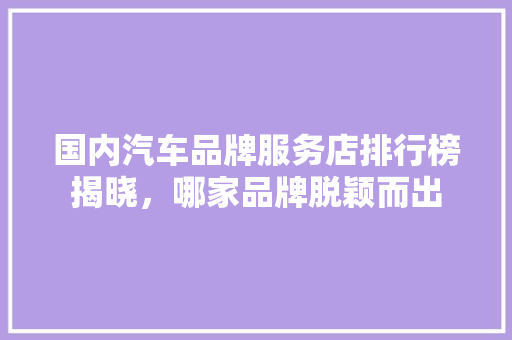 国内汽车品牌服务店排行榜揭晓，哪家品牌脱颖而出