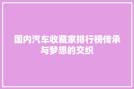 国内汽车收藏家排行榜传承与梦想的交织